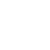 Pizza Icon